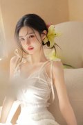 曲至2029月卸任